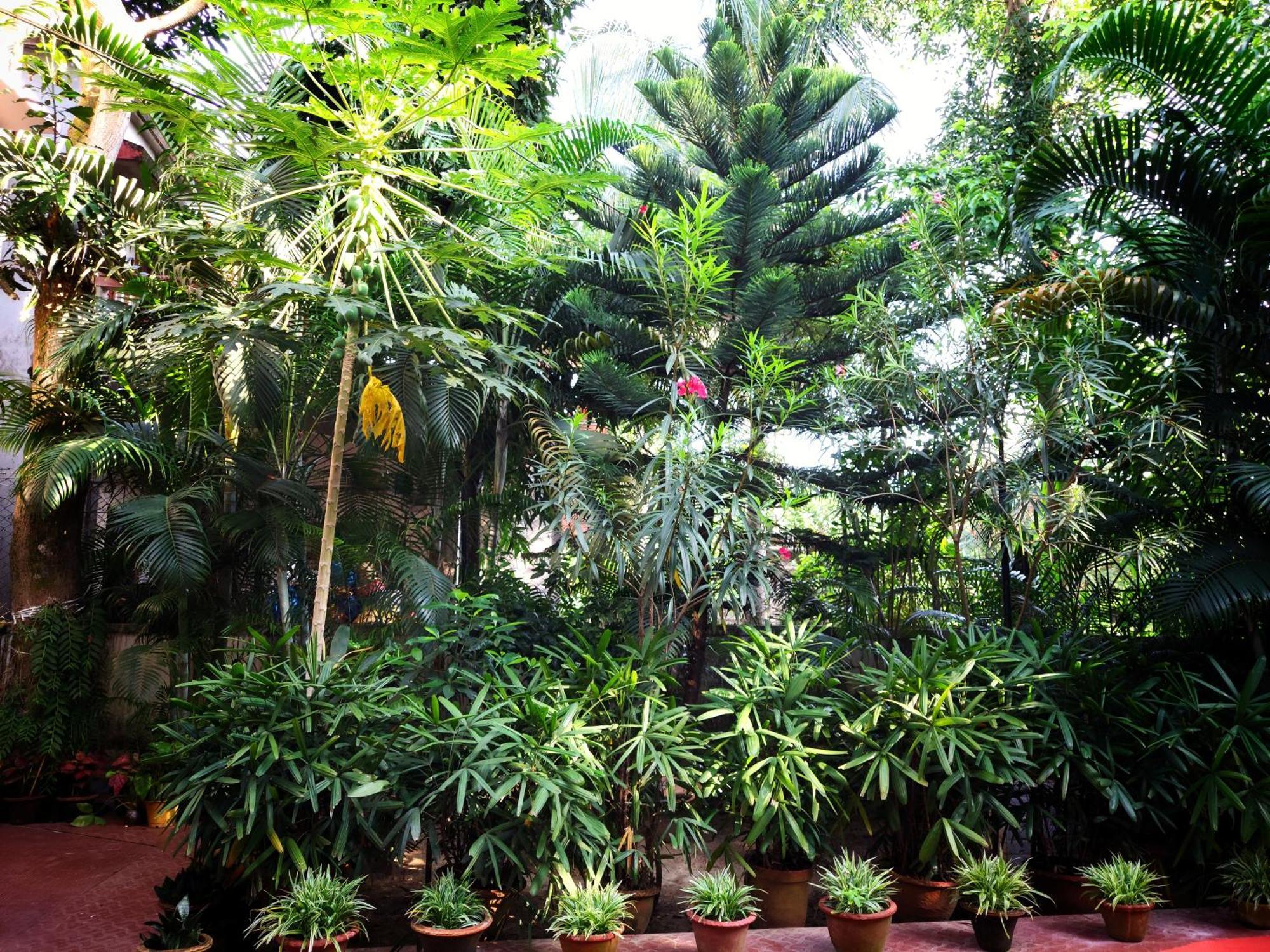 Chaiti Eco Homestay- Santiniketan Bolpur Exteriör bild