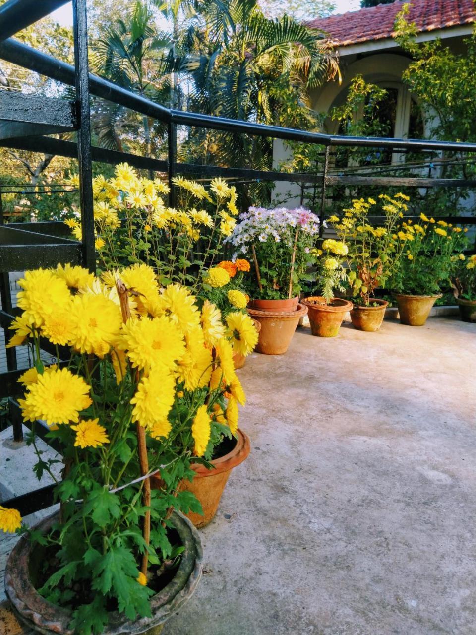 Chaiti Eco Homestay- Santiniketan Bolpur Exteriör bild